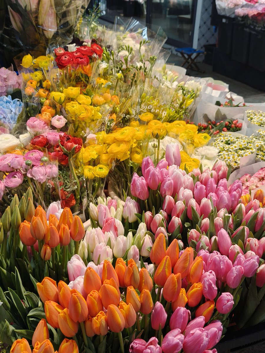 itsloopy tweet media