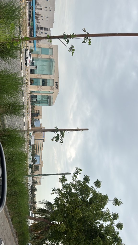 🐈‍⬛ tweet media