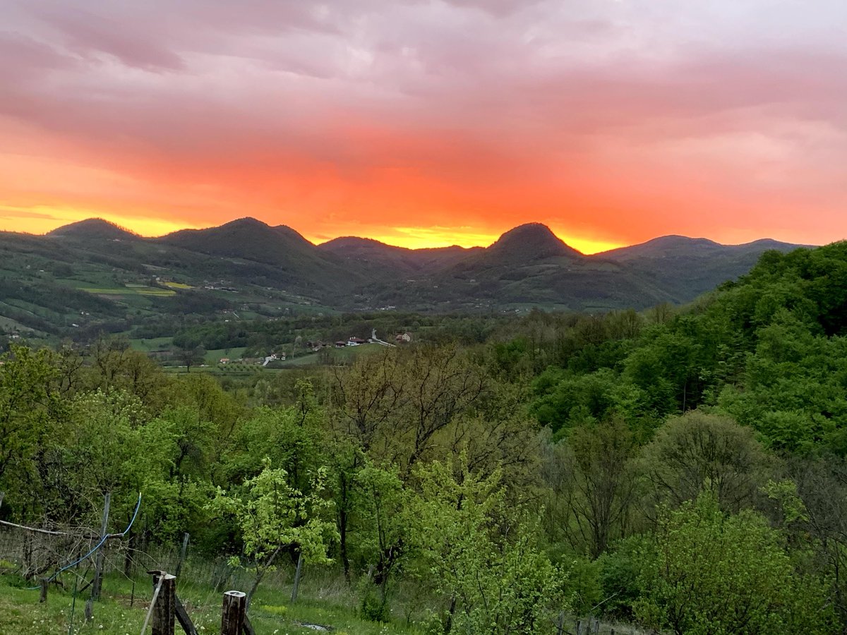 Chris Eubank (@zagorteprati) on Twitter photo 