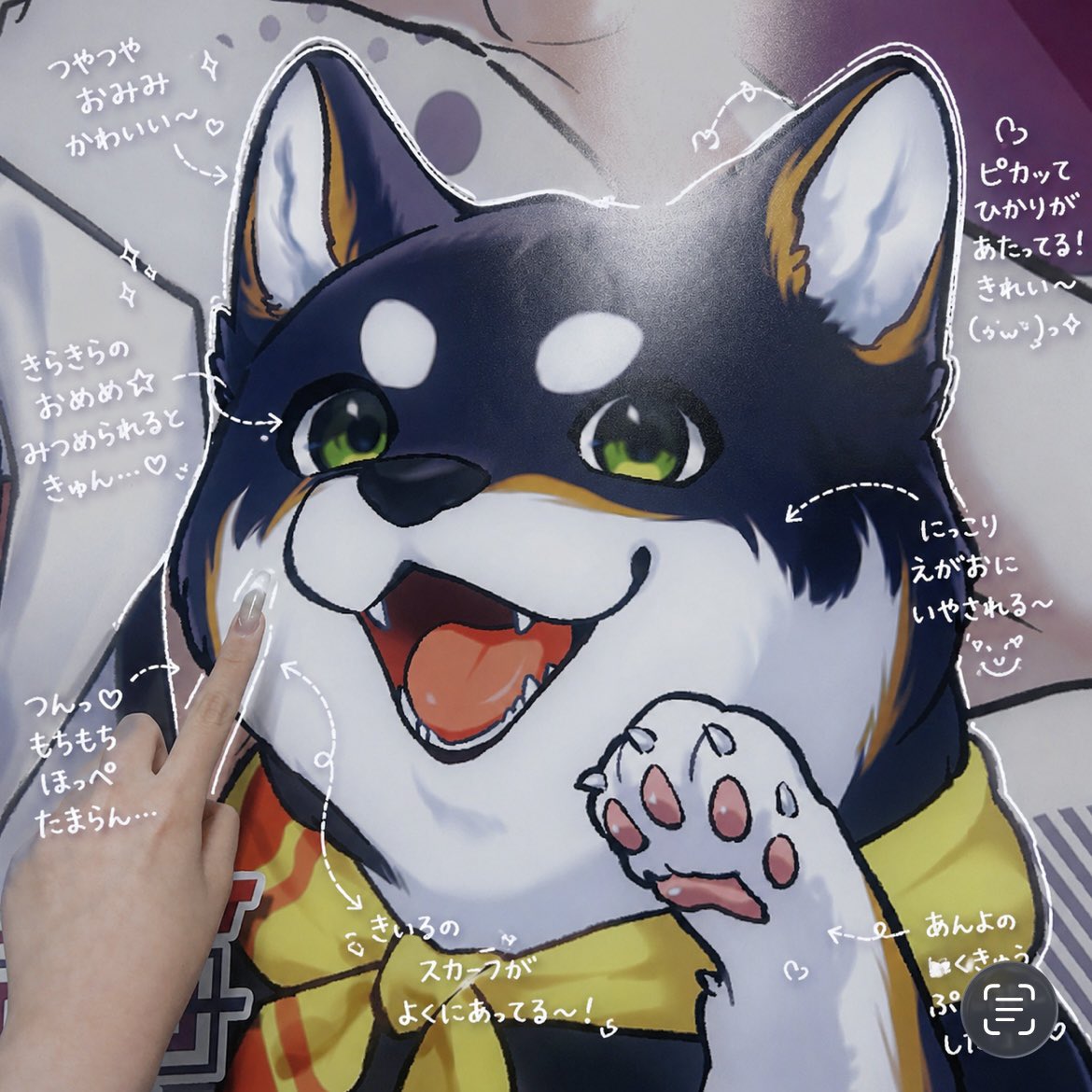 のせち🦋 tweet media