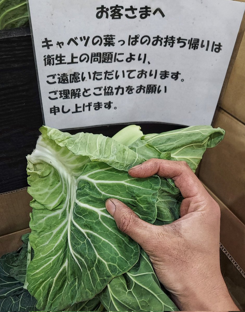 おいCちゃん tweet media