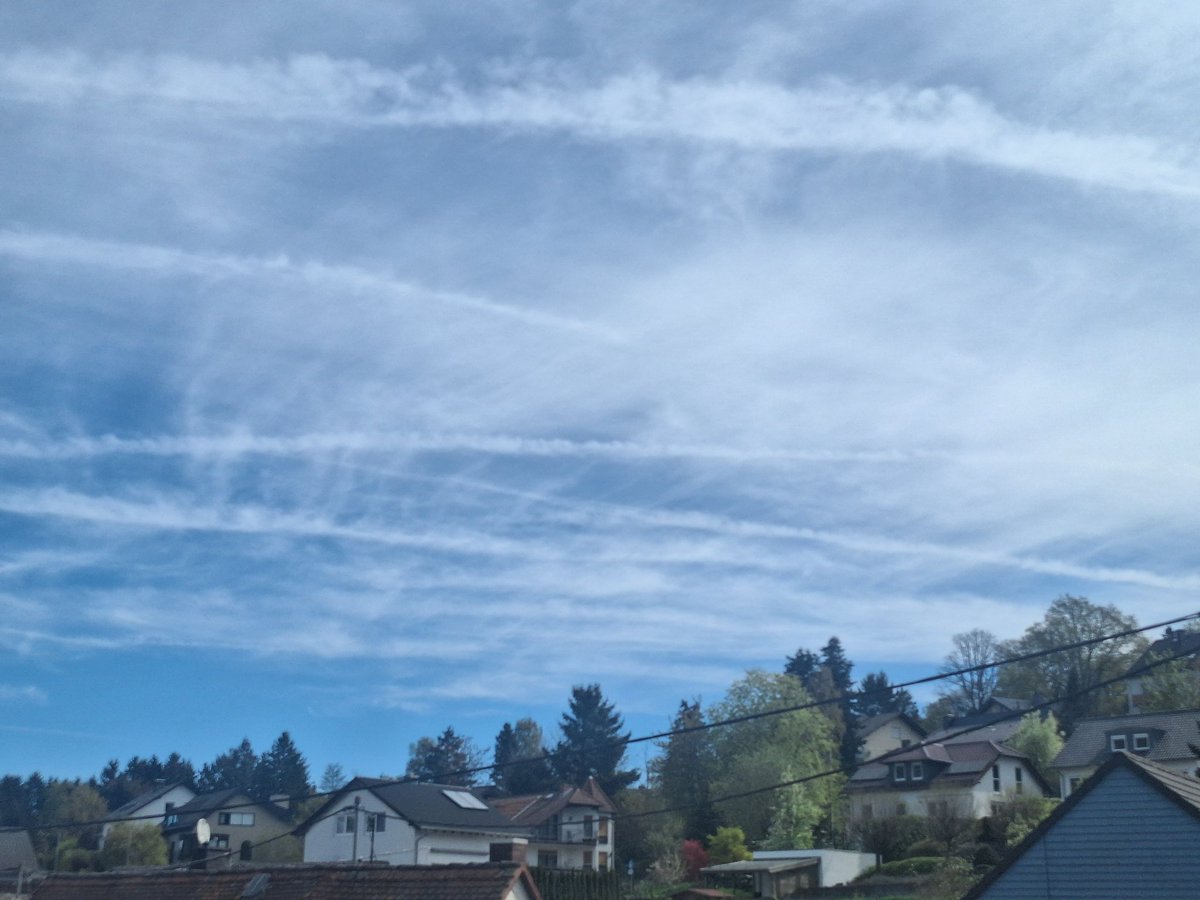 Landcruiser*in tweet media