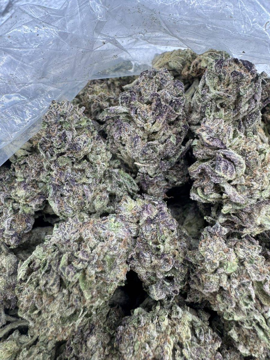Georgiabuds's tweet photo. Weed Borjomi, Weed Kvareli, Weed Signagi, Weed Mtskheta, Weed David Gareja, Weed Vardzia, Weed Rabati Castle (Akhaltsikhe), Weed Borjomi-Kharagauli National Park

https://t.co/aPkjk7M2Jh https://t.co/Ll63UmgGFP