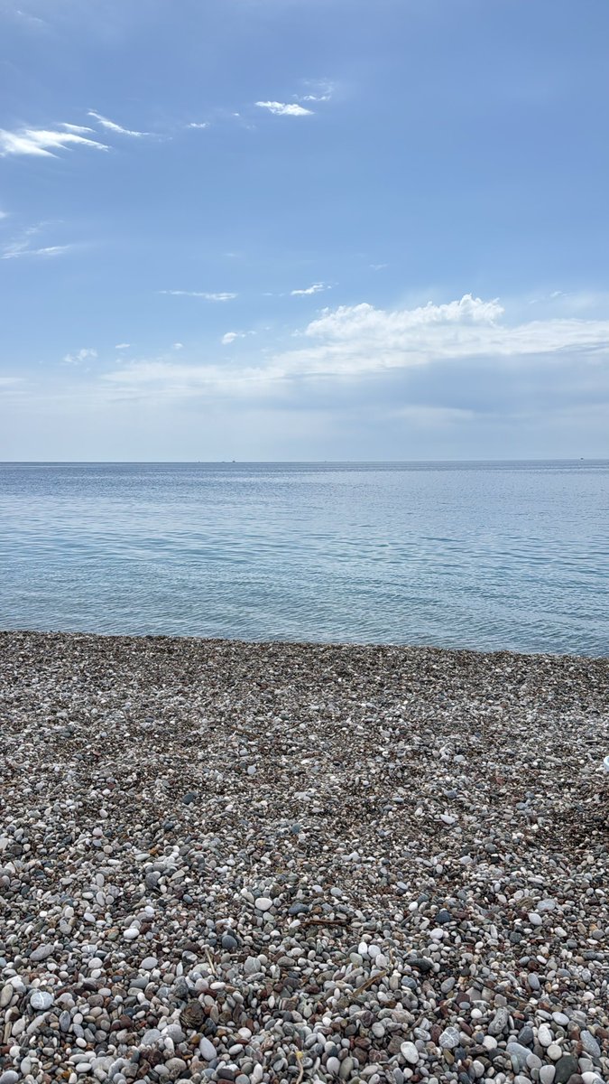 saatvefarma tweet media