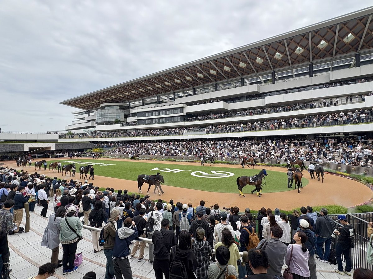 𝙞𝙢𝙤. tweet media