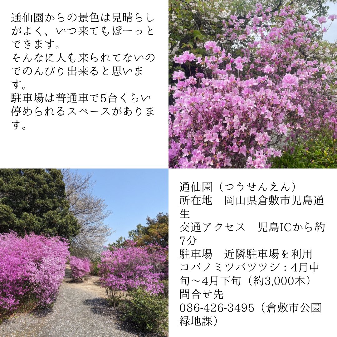 おかやまスタイル🍑岡山観光情報サイト tweet media
