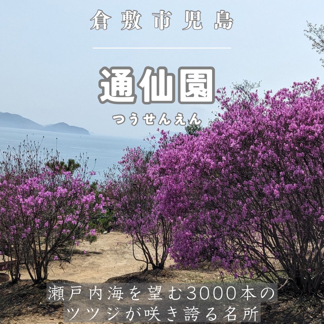 おかやまスタイル🍑岡山観光情報サイト tweet media