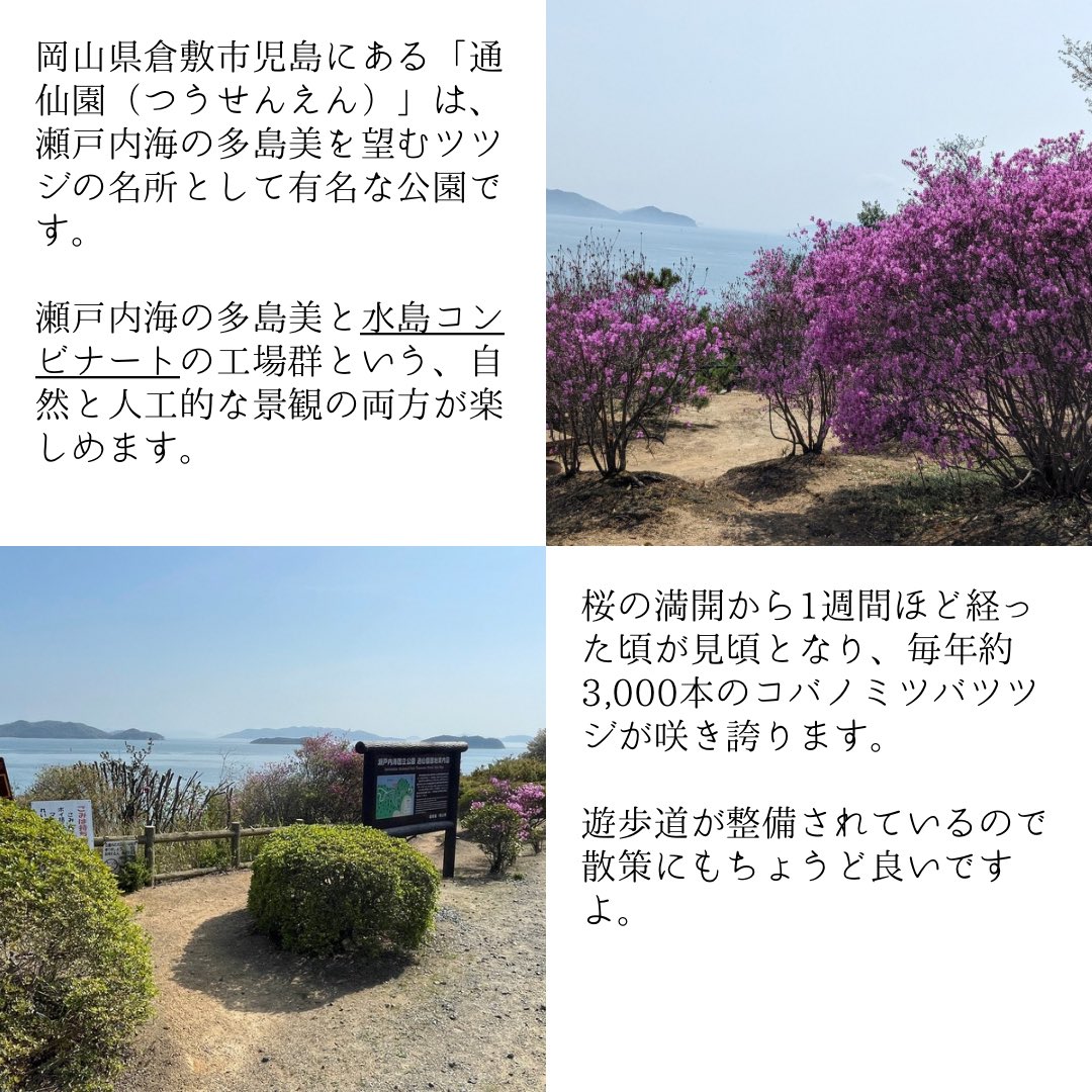 おかやまスタイル🍑岡山観光情報サイト tweet media