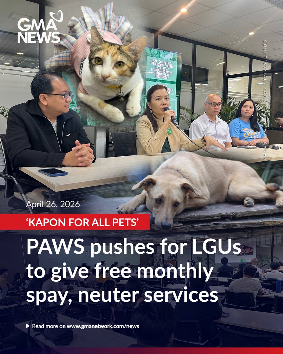 ANIMAL HOMELESSNESS CRISIS

So many cats and dogs without homes or uncared for? An animal welfare organization has drafted a model ordinance for local government units (LGUs) offering tax and business permit rebates to private veterinarians who provide free spay or neuter