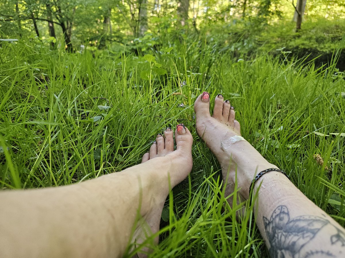 Miss Maledicta tweet media