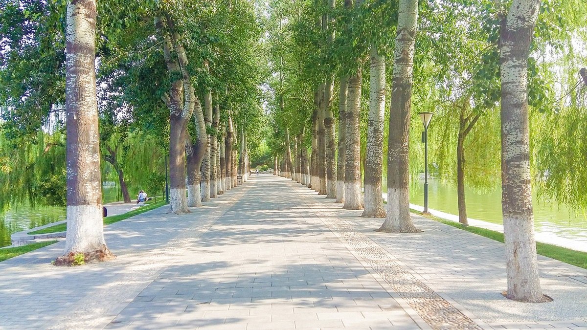 DewasiBhun99465's tweet image. "Swapped my 9-to-5 desk for a bike + backpack! Now I work from coffee shops, trails, and sunlit parks—turning 'hustle' into 'hustle with fresh air'. Who said work can’t feel like an adventure  #DigitalNomad #WorkLifeShift"