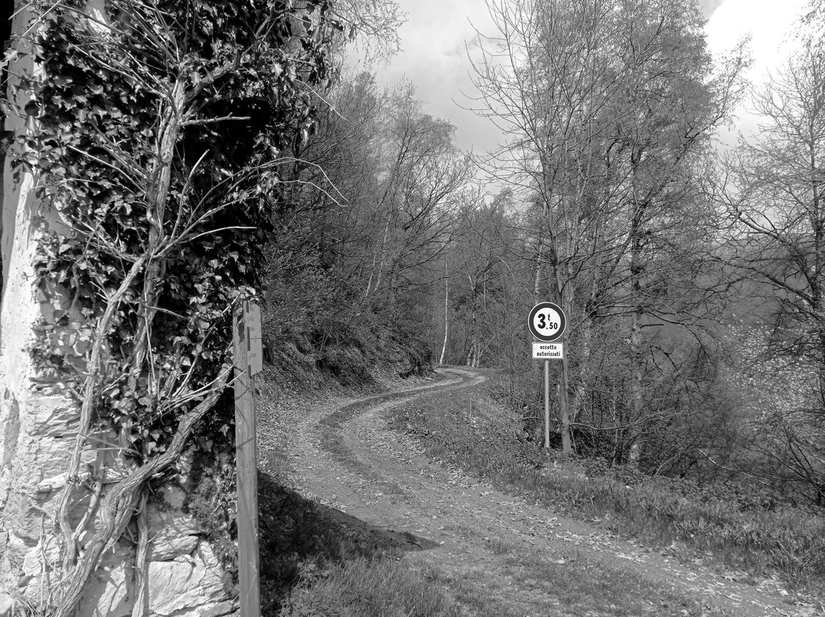 luca_bergamasco's tweet image. #SignsOnSunday #SignsOnSaturday #monochrome #BW #BlackAndWhitePhotography