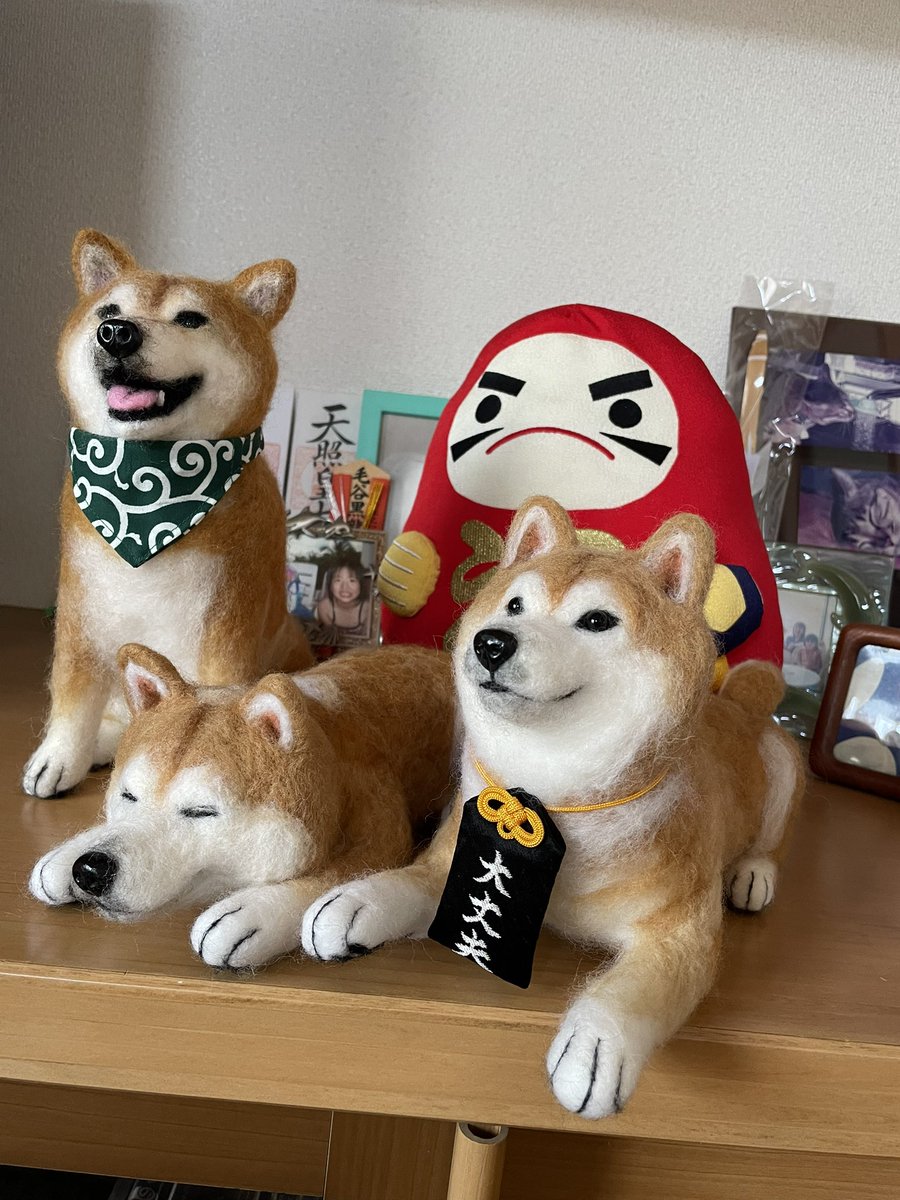 Silent Bull tweet media