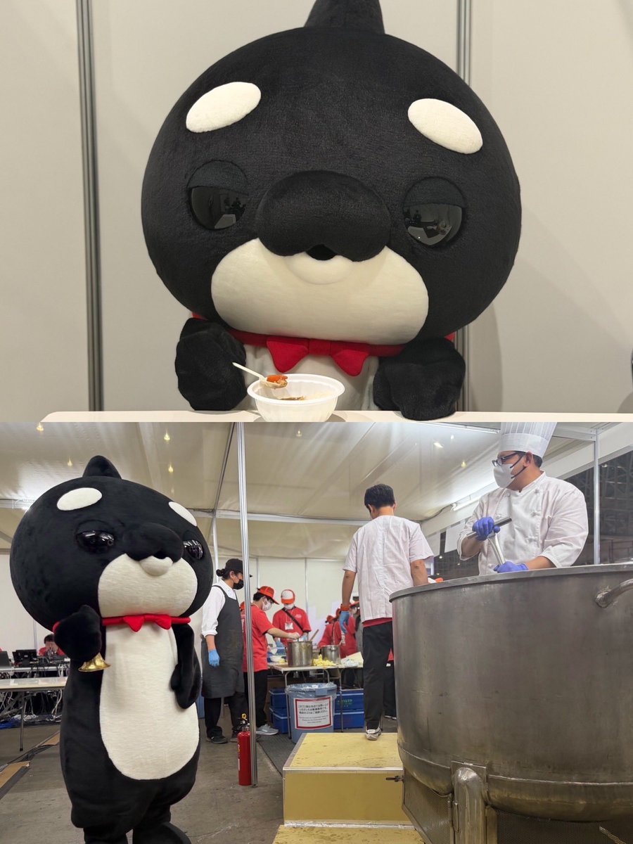 MNSスタッフ tweet media