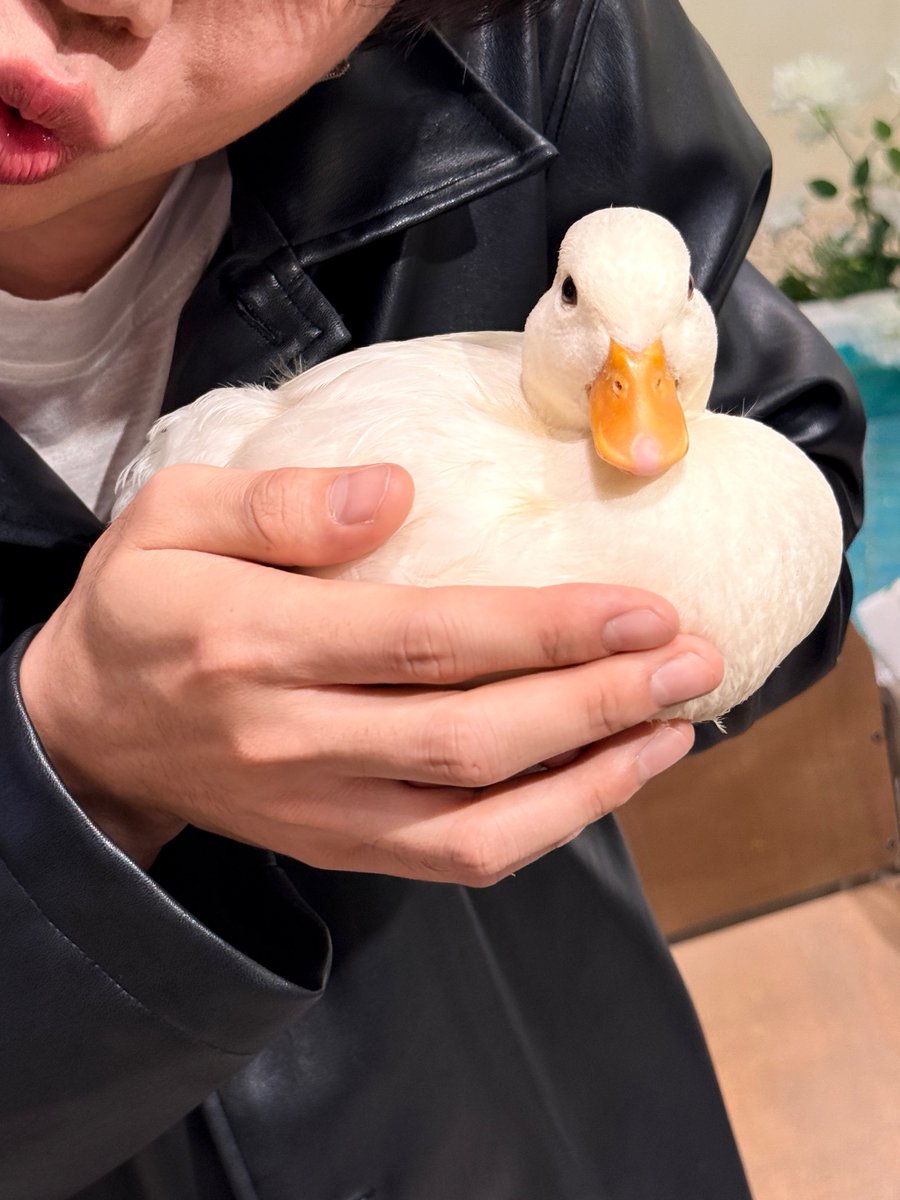 babe_in_'s tweet image. แควกกๆๆ🐣 #babiibabe