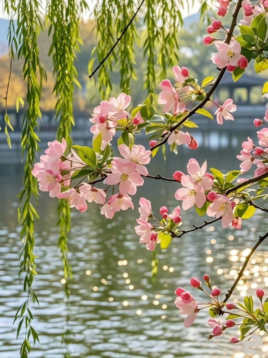 nermek's tweet photo. Bahar ne güzel de hatırlatıyor, 
yaşadığımız sürece umutların bitmeyeceğini...

#Günaydın 🌈☀️
🌻🌷🤍☕️ https://t.co/6BPj2NXpqp