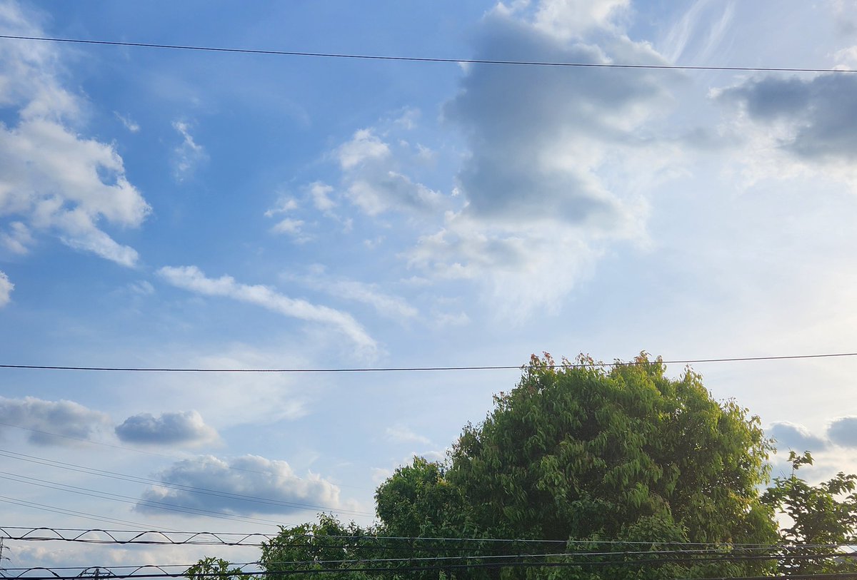 れいんドロップ tweet media