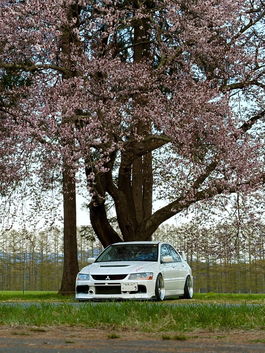 Noire（ノワール） tweet media