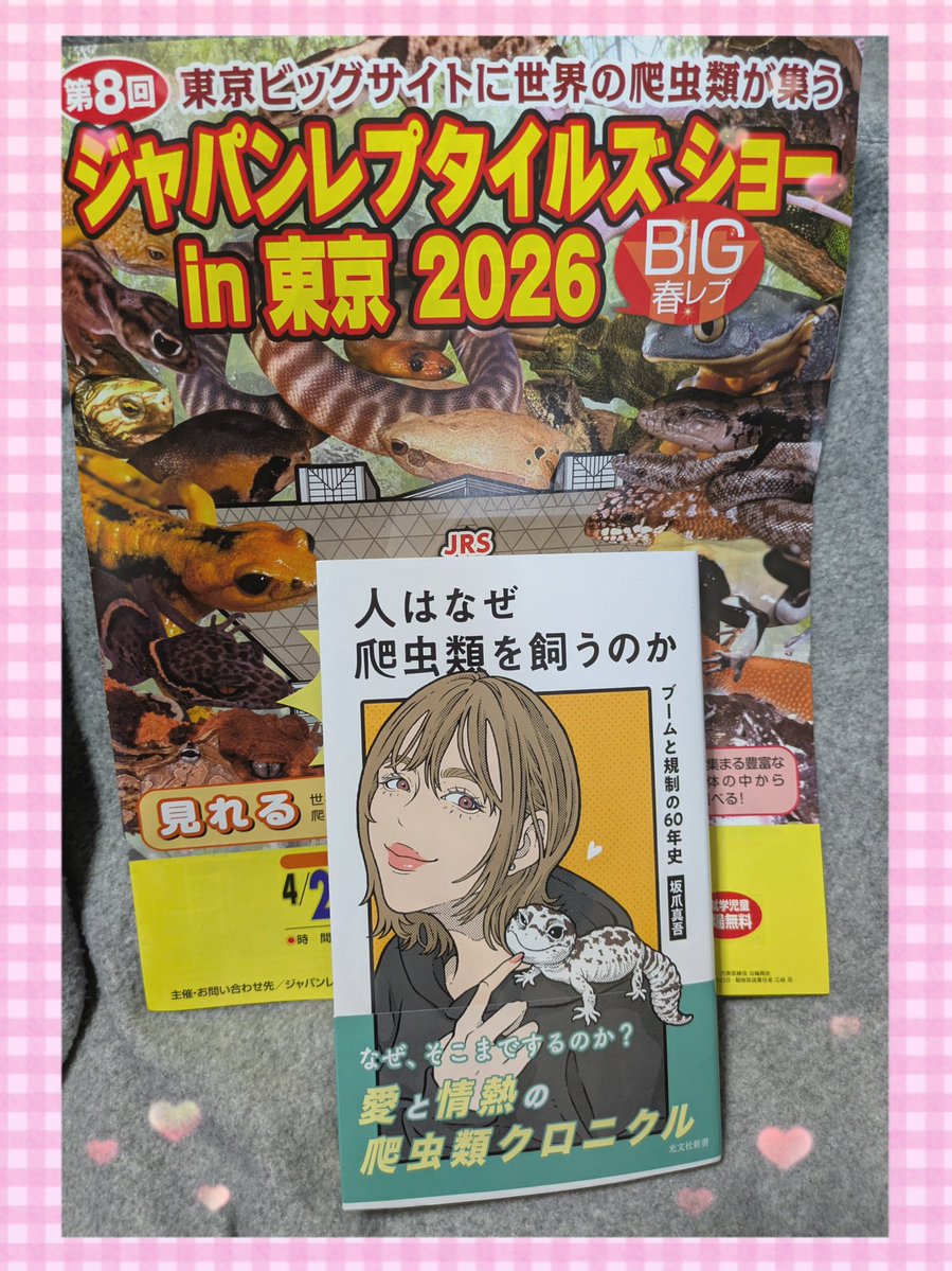 nozomu@ฅ( ̳• ·̫ • ̳ฅ)وﾁｮｺﾐﾝ党🍫BIGﾚﾌﾟ土曜日予定 tweet media