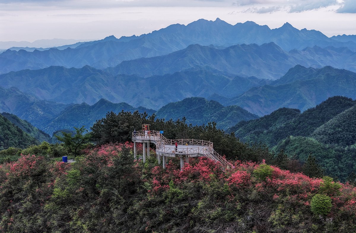 FlyOverChina's tweet photo. The azalea blooms have painted the mountains in such vibrant colors, making it the perfect spring getaway.
📍 Chun'an County, Hangzhou, southeast China's Zhejiang Province
#FlyOverChina #ChinaTravel #AzaleaBloom #SpringVibes https://t.co/hlsxnADQxa