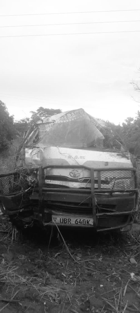 NBS Sport tweet media