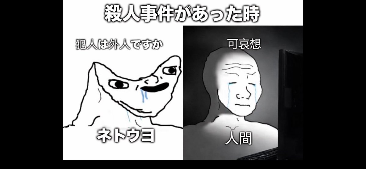 ホソエダムシ⚡️ tweet media