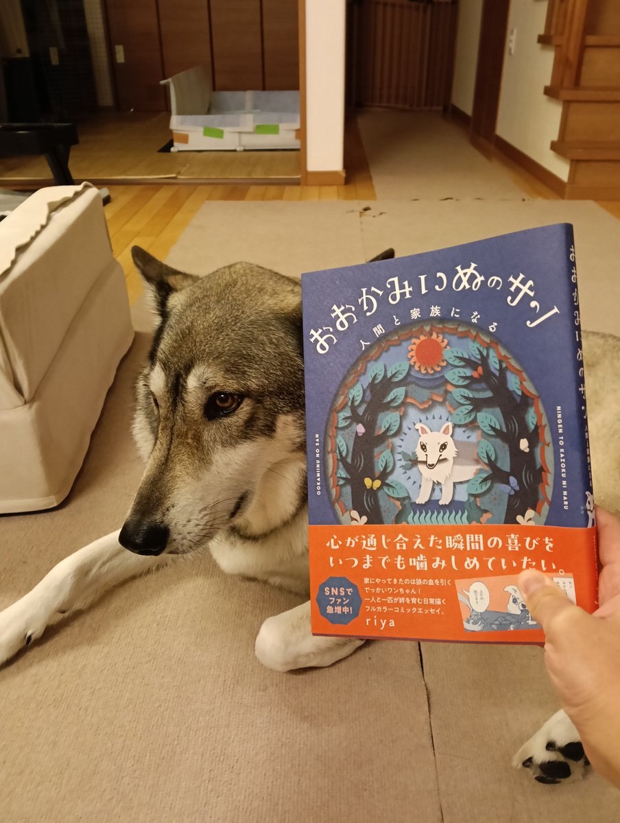 白井あけみ tweet media