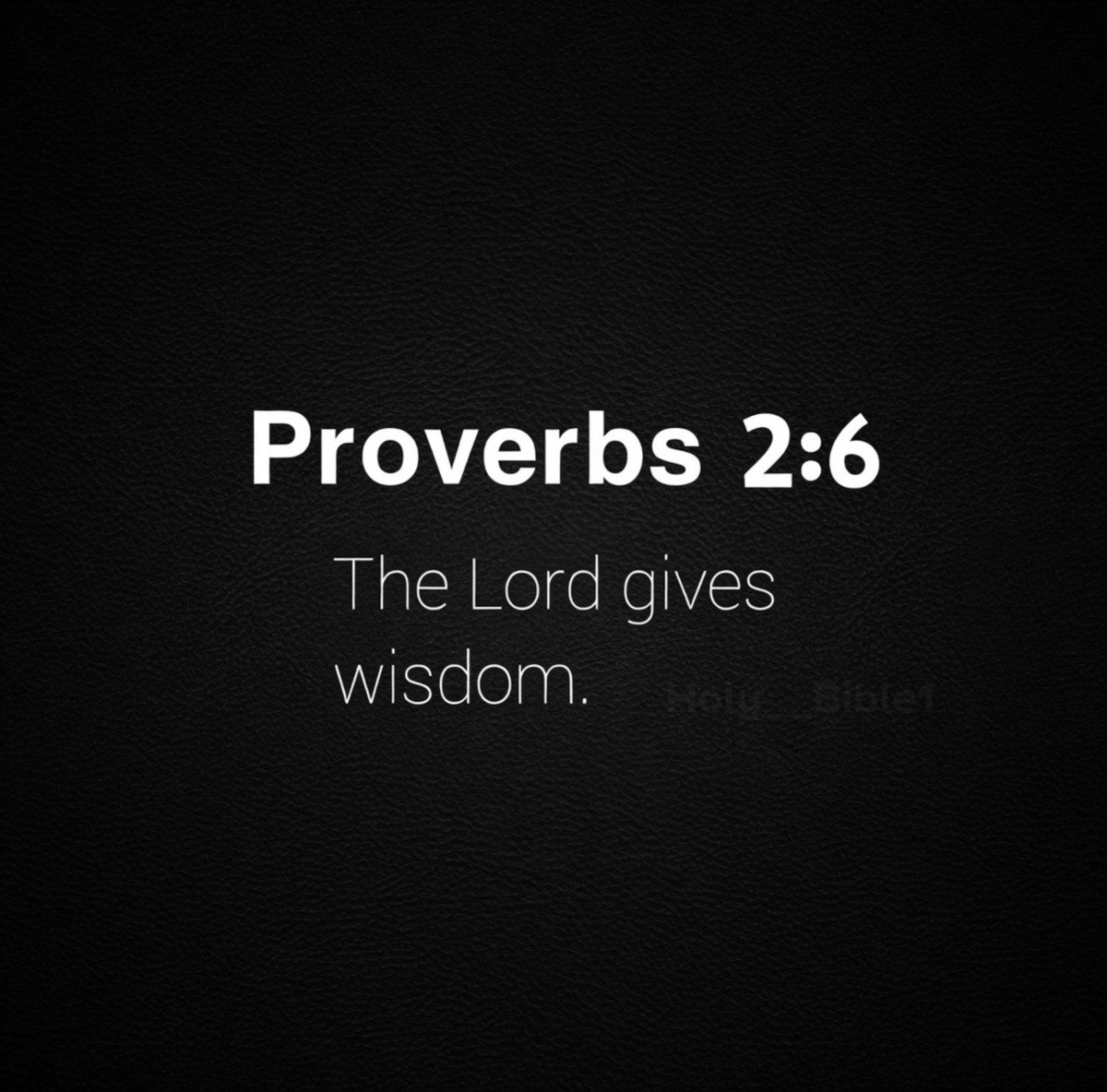 Holy__Bible1's tweet photo. Proverbs 2:6 https://t.co/AZxBcednRr