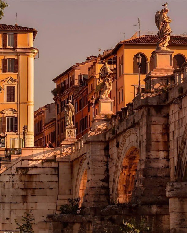 Beauty Explorer tweet media