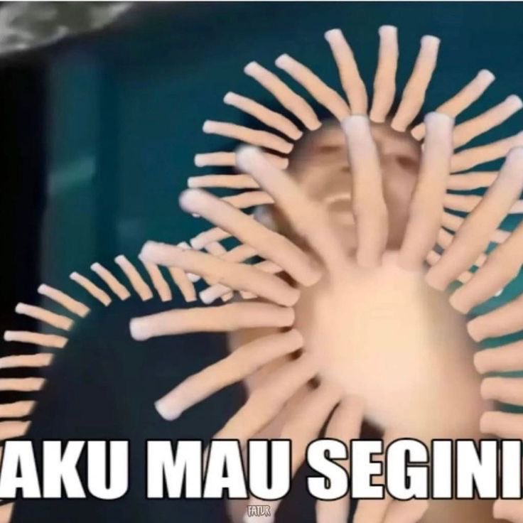 am, fsr ke wangsaf tweet media