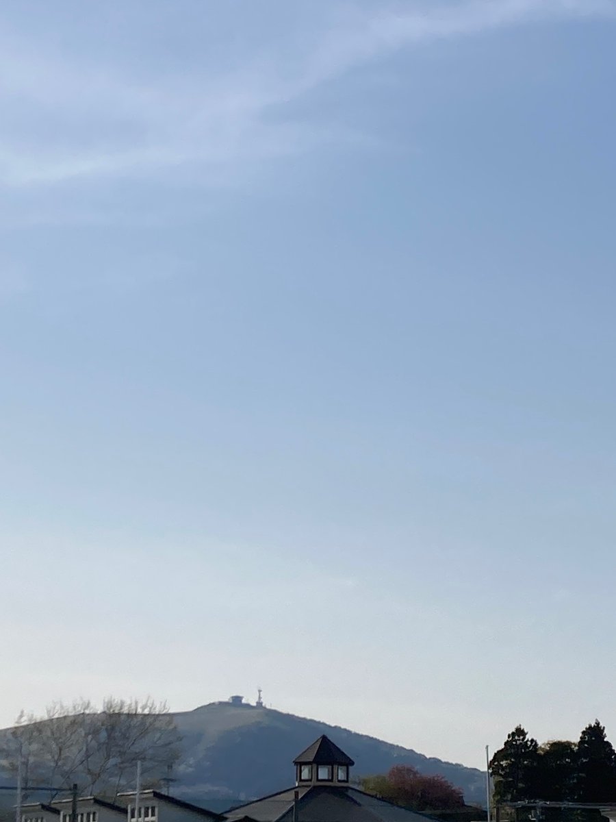 コリドラスろどりー tweet media