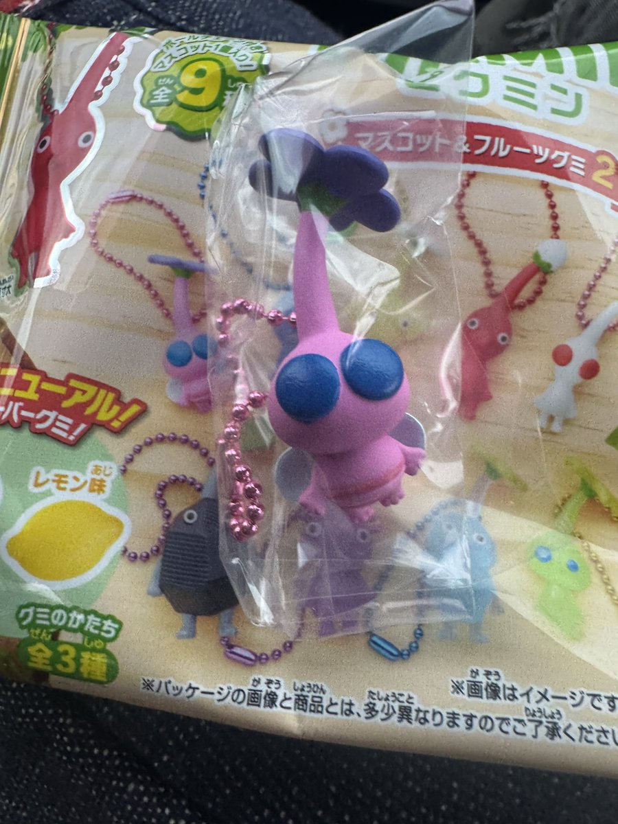 加賀田ロキ/ROKI tweet media