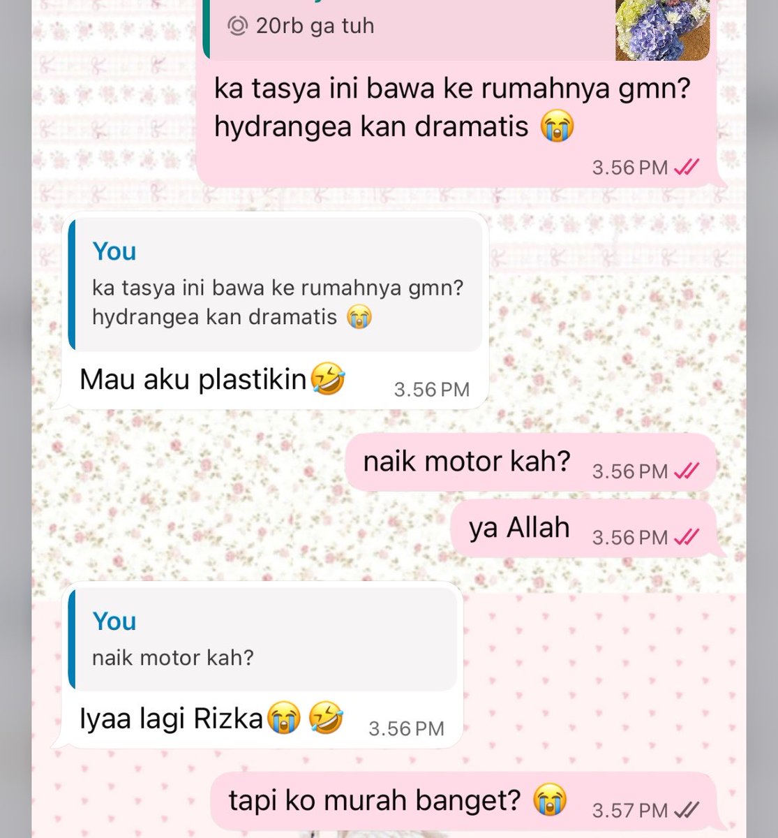 jadi mw ke gunung luhur cmn buat liat kebun hydrangea sama beli bunga 😭 hydrangea di florist mahal bgt jir