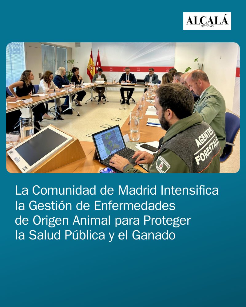 Noticias Alcalá tweet media