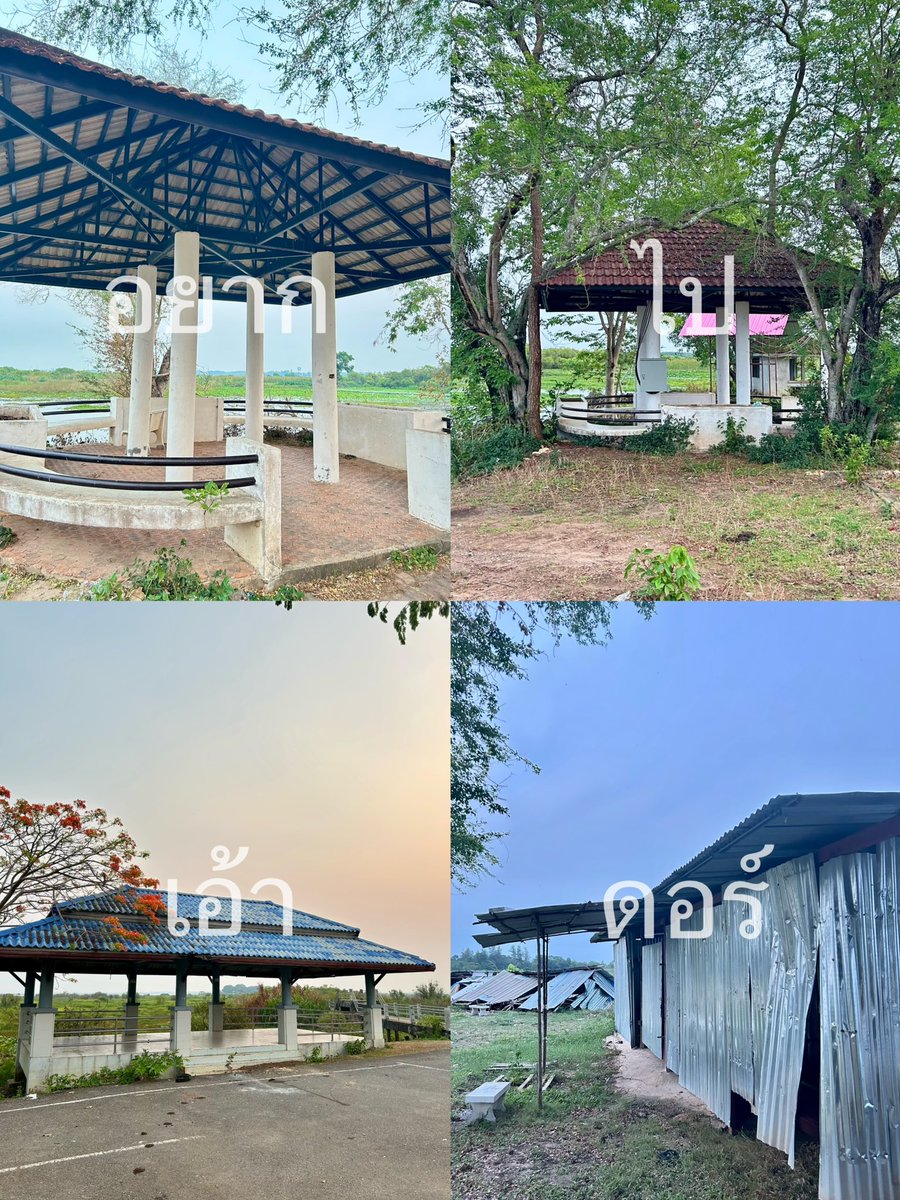 Maxximus tweet media