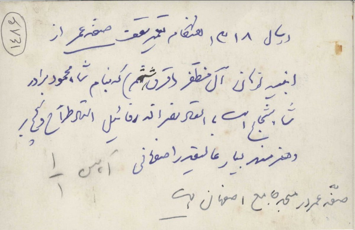 Mehran DHN tweet media