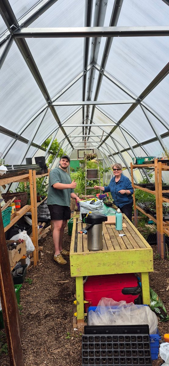 Togher Community Garden tweet media