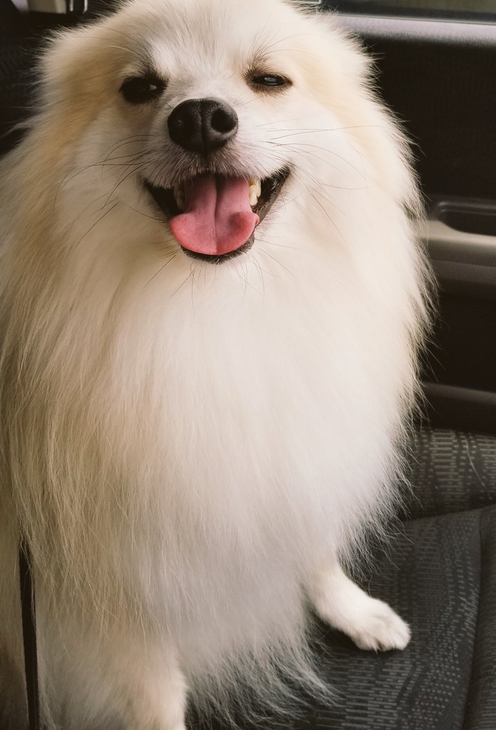 tiara·͜·ᰔᩚ tweet media