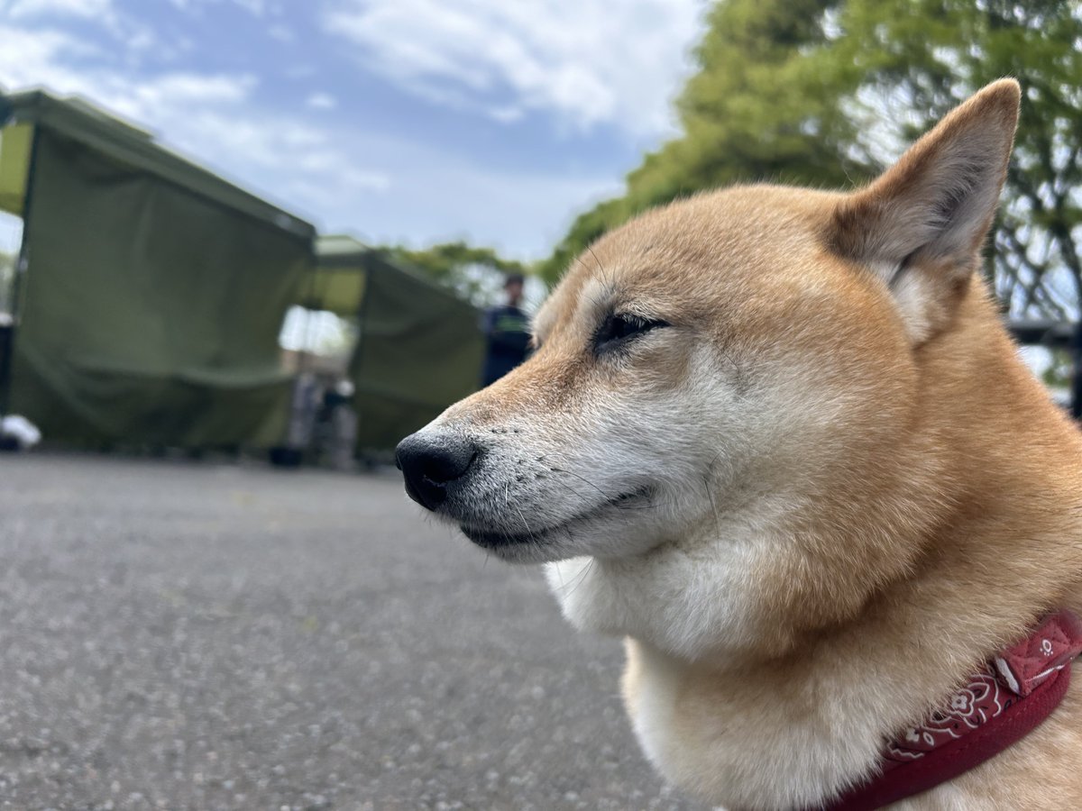 はやと tweet media