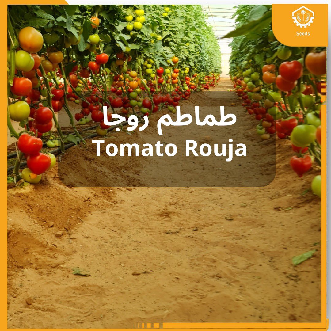 AMMC Agriculture - شركة الآلات والمواد الزراعية tweet media