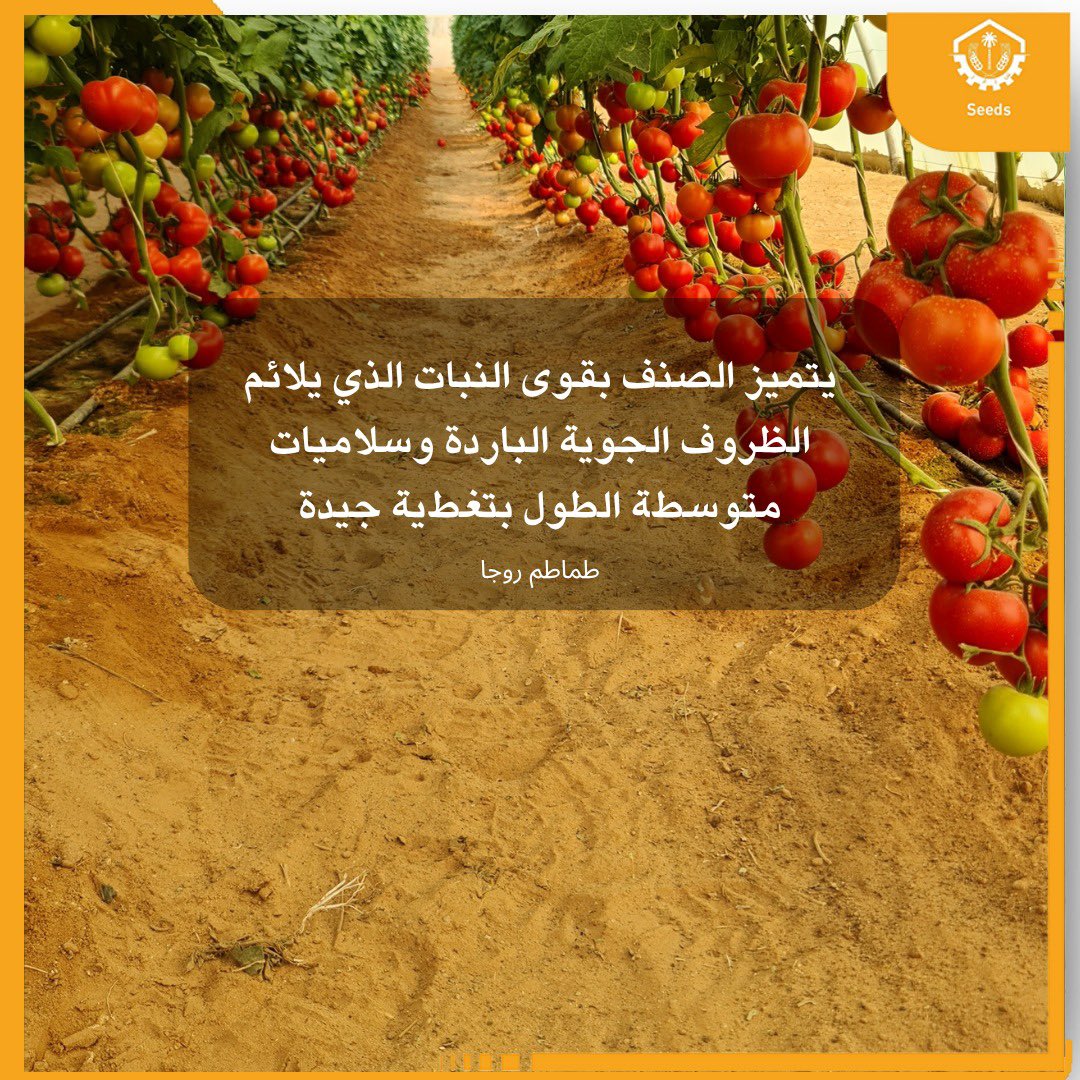 AMMC Agriculture - شركة الآلات والمواد الزراعية tweet media