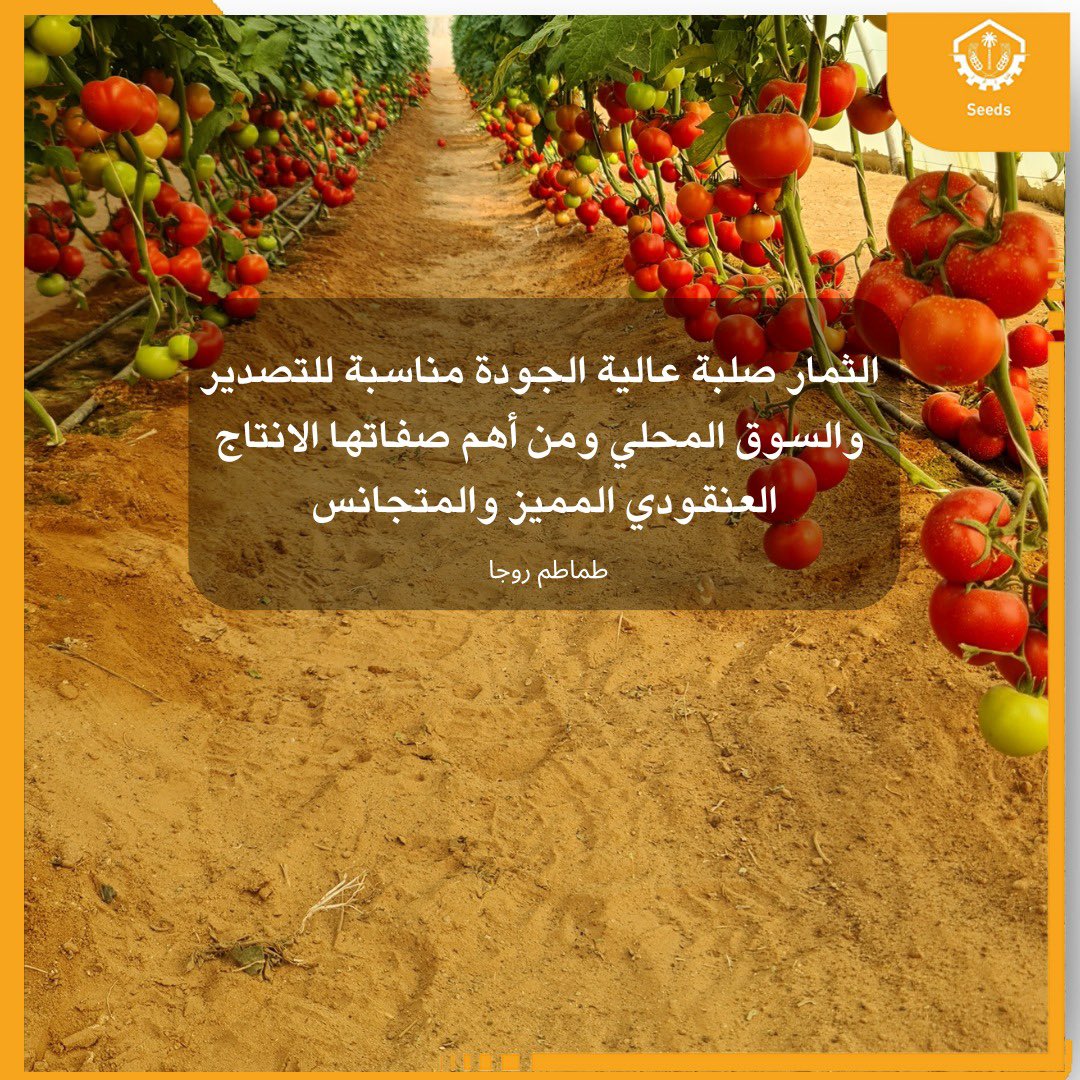 AMMC Agriculture - شركة الآلات والمواد الزراعية tweet media