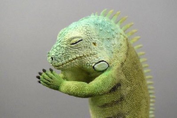 たまちゃん2@銀行 tweet media