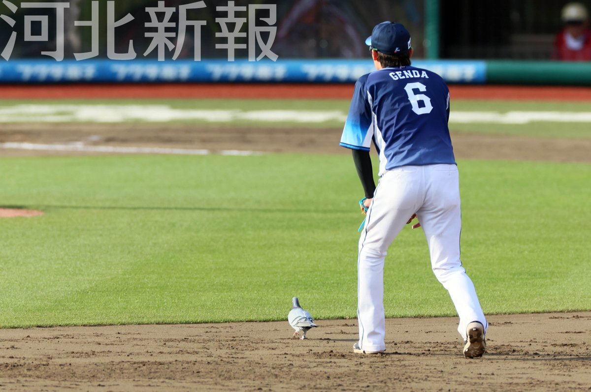 河北新報写真映像部 tweet media