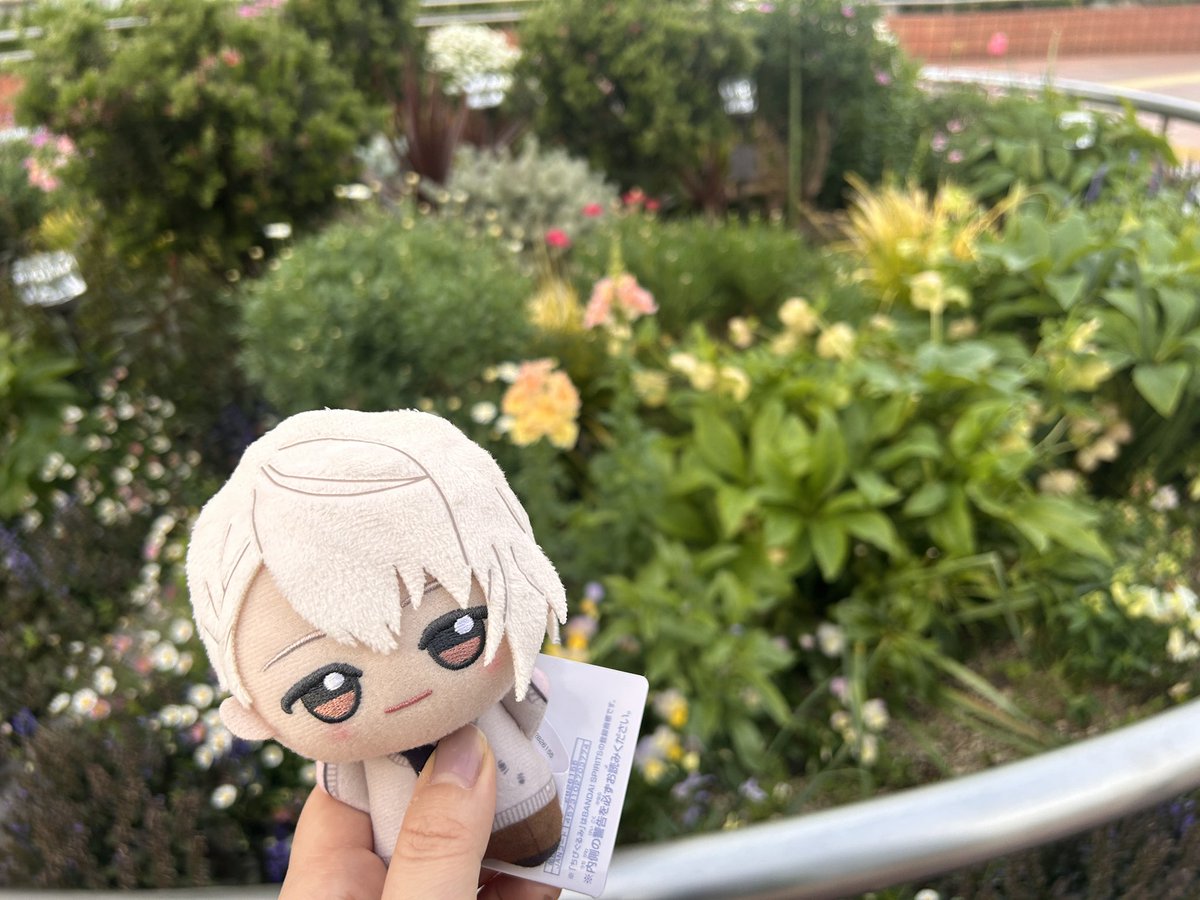 ふうせんか tweet media