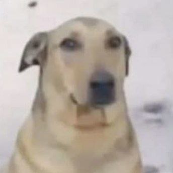 @ мияги tweet media