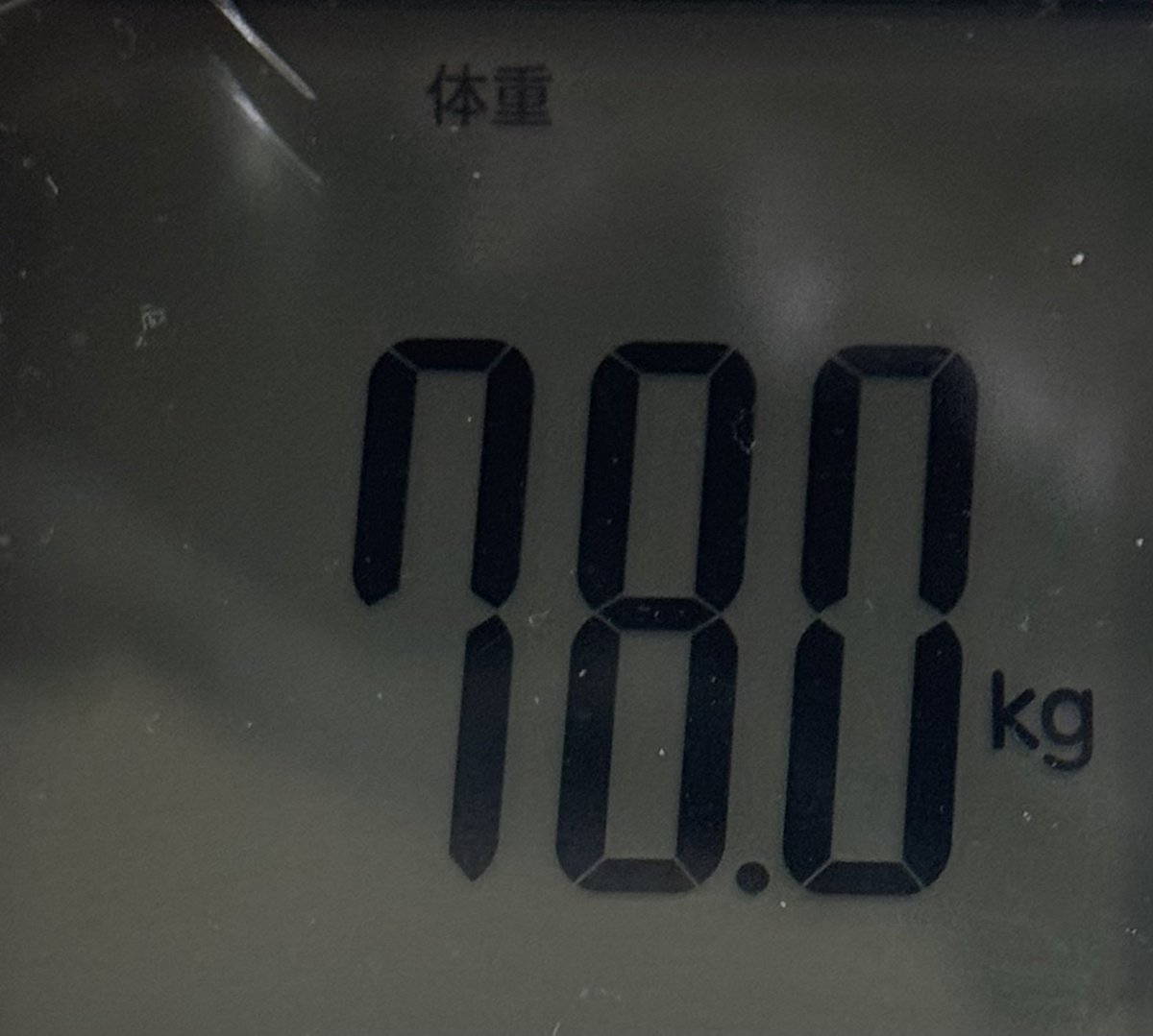 全速の蓮二 tweet media