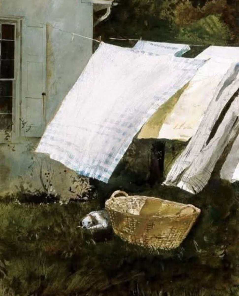 claudio borlotto tweet media