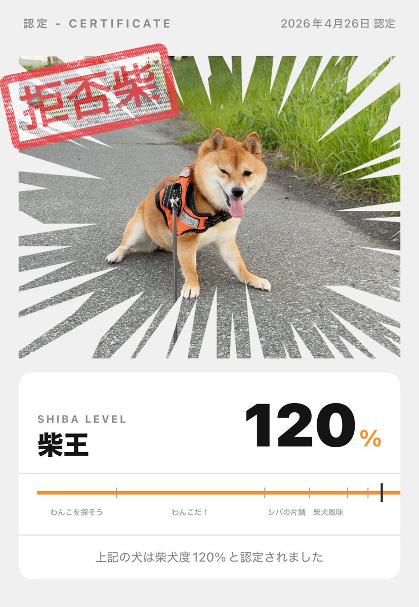 フジイ ピカピ / moff inc / #そのへんの3cm tweet media