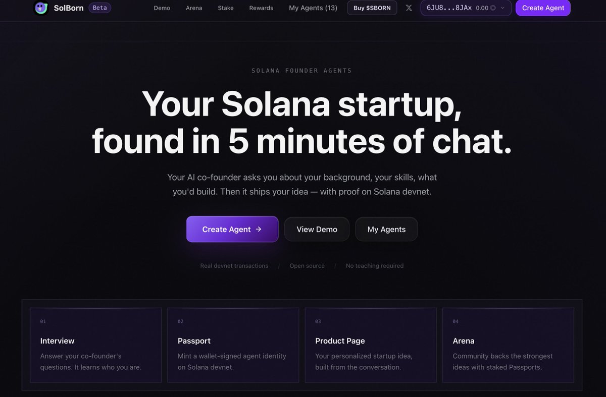 SolBorn tweet media